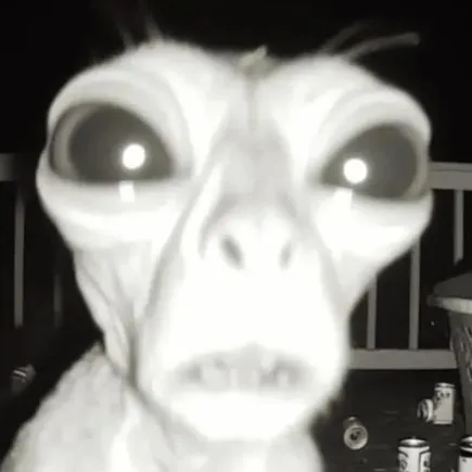 creator panties_buyer's avatar