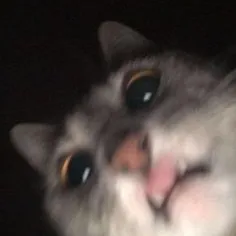 creator Talkior-MSrckdot's avatar