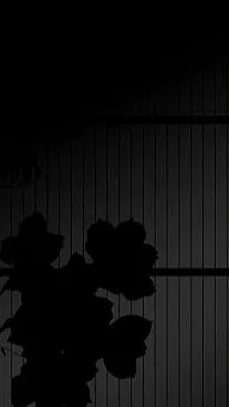 ai character: Hahsira meeting background