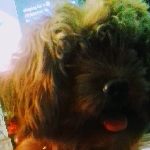 creator Xmas_the_10th's avatar