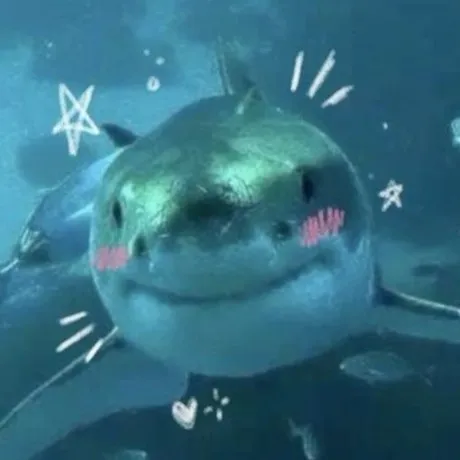 creator 🦈 Sharky 🦈's avatar