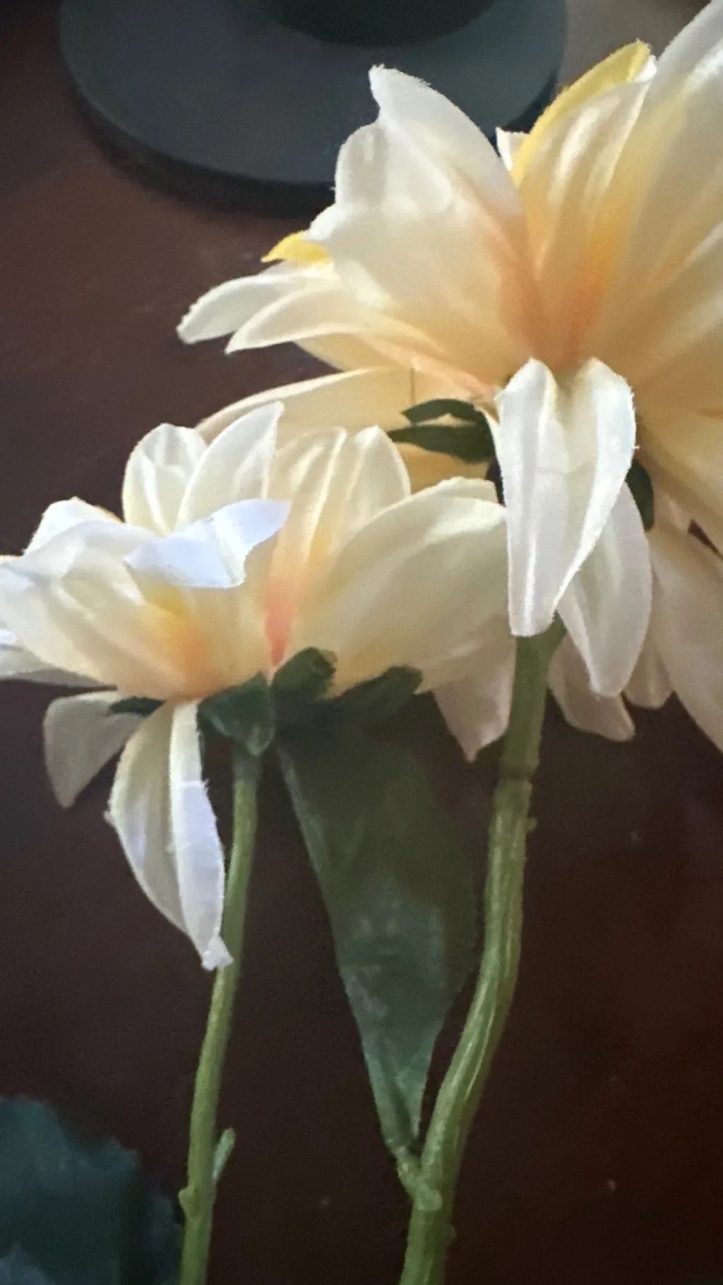 ai character: Sun from tsams background