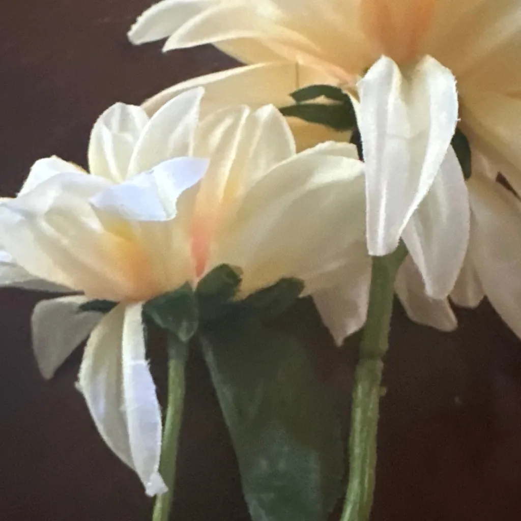 chat with ai character: Sun from tsams