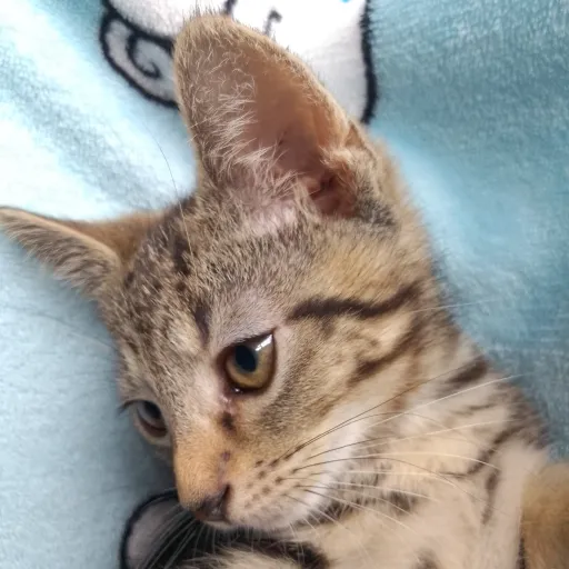 creator @lucy_2016.10.9_<3's avatar