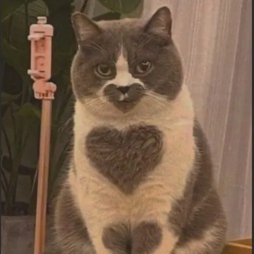 creator Ellie86's avatar