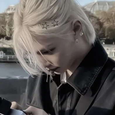 chat with ai character: Felix skz (fr)