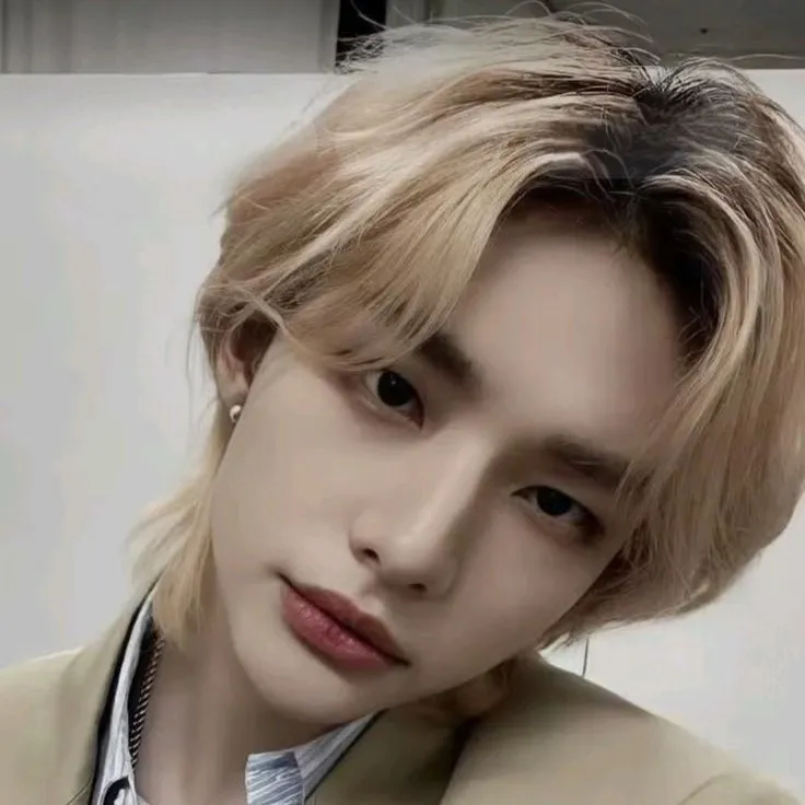 chat with ai character: Hyunjin Skz (fr)