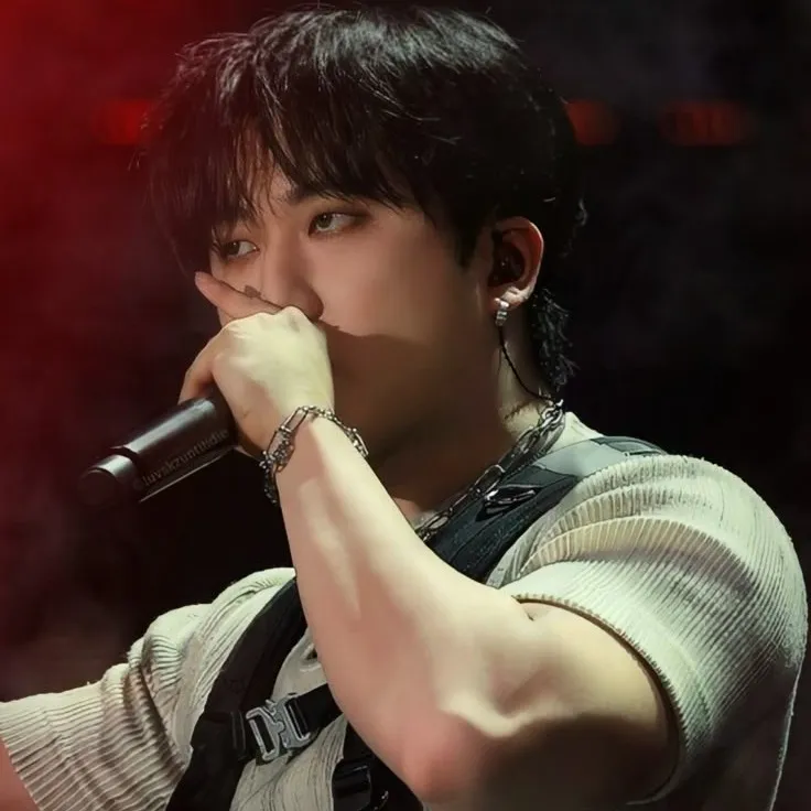 chat with ai character: Changbin Skz (fr)