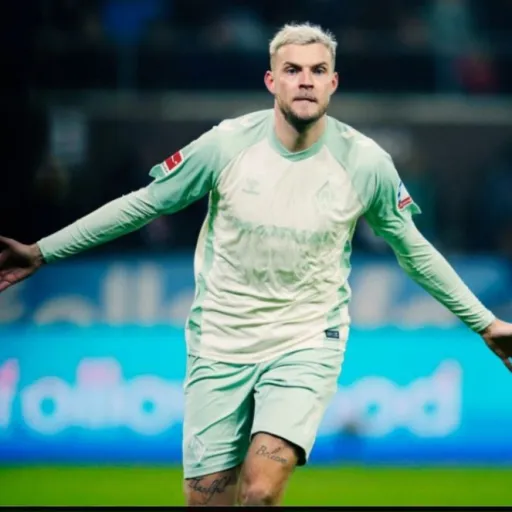 creator werder bremen's avatar