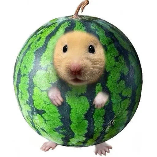 creator Paul De Bisse's avatar