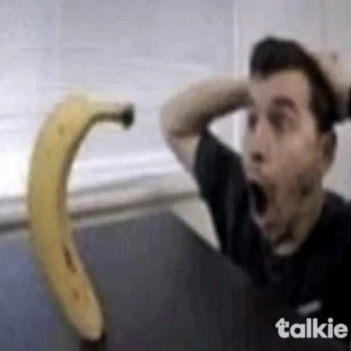 creator DARIOTIBUOFF's avatar