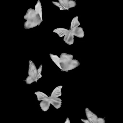 creator Lix☆'s avatar