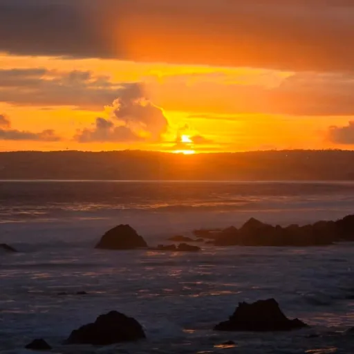 creator I.n.f.e.c.t.e.d's avatar