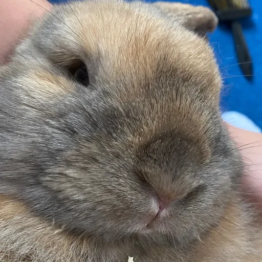 creator Reathemaker's avatar