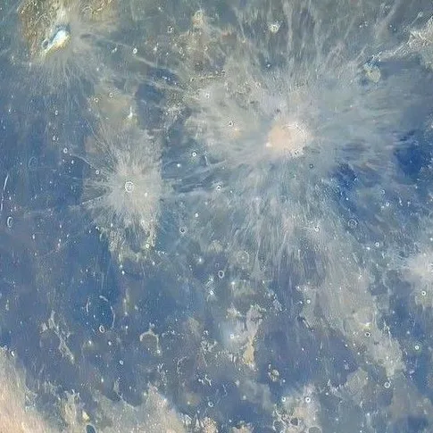 creator ✨🌸Kitty_cattt🌸✨'s avatar