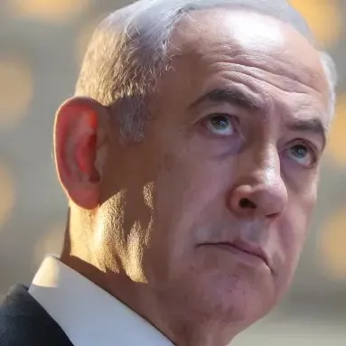 creator nami offer from mc's avatar