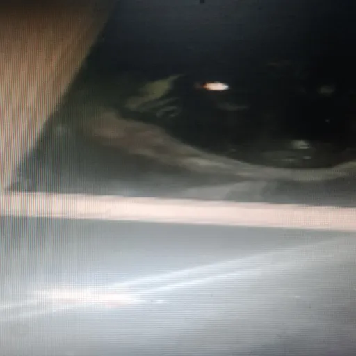 creator ELDINOPENDEJO's avatar