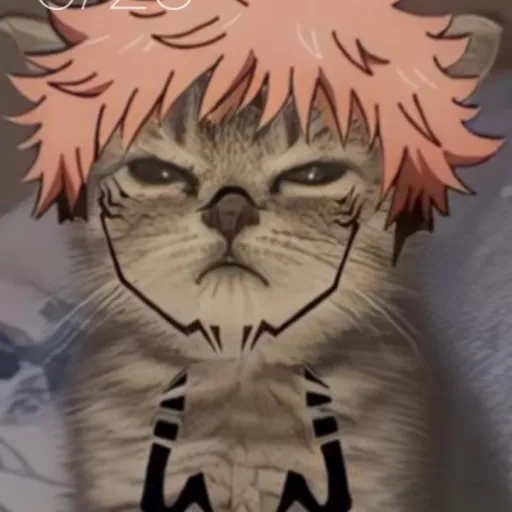 creator LEOTHE_BITCH's avatar