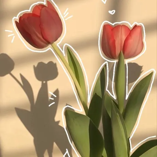 creator Емма.gk's avatar