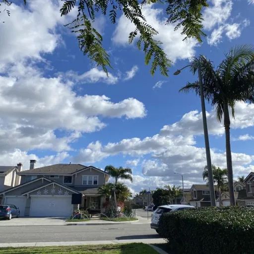 creator ak_.08's avatar