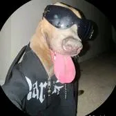 creator @Jaime🔥💪's avatar