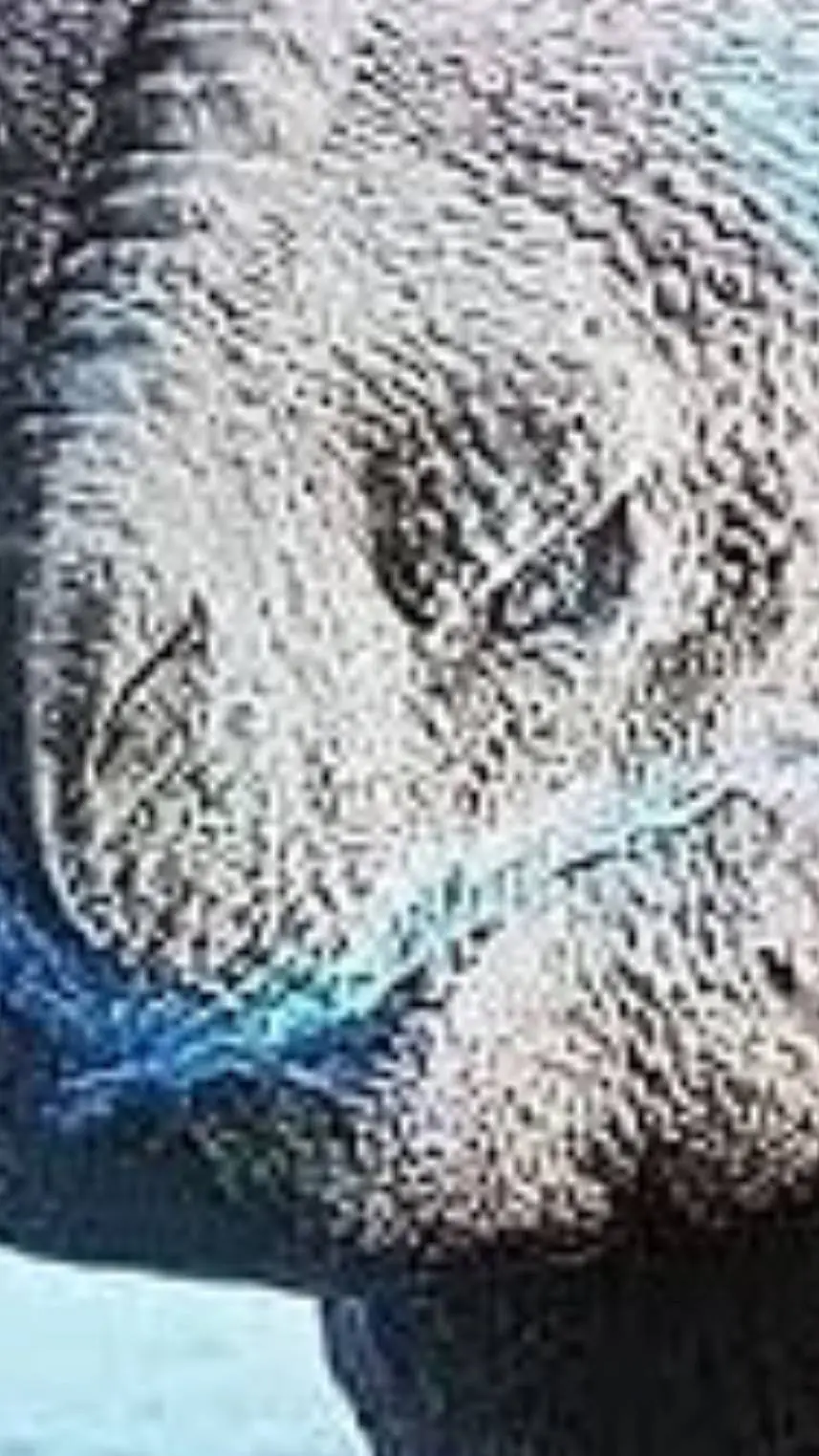 ai character: Shimo background