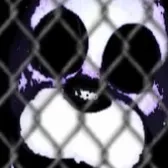 chat with ai character: Noinoe