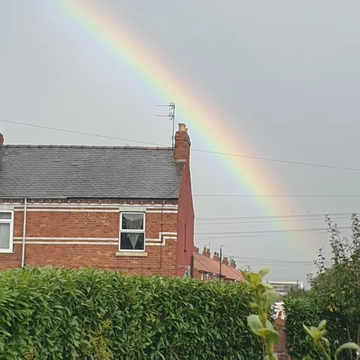 creator Mango_fanfic's avatar