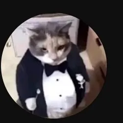 creator YT:gatowaton's avatar