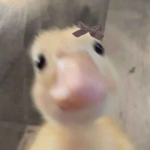 creator mochi_a's avatar