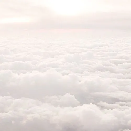 creator Ade_Cat's avatar