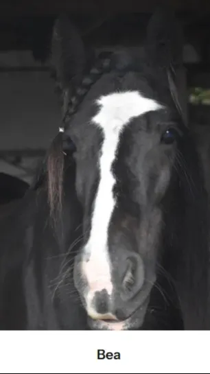 ai character: adopted by Afton F background