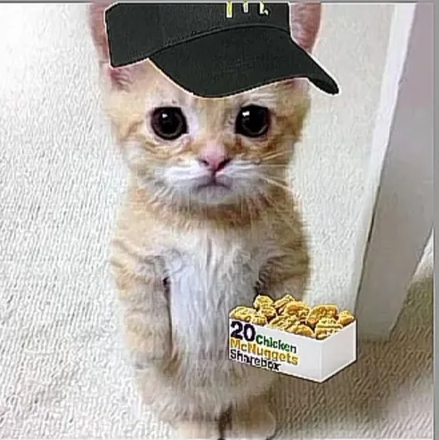 creator ☆A.M.I.E.R.A.H☆'s avatar