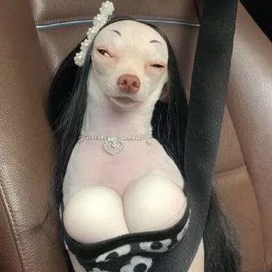 creator isabellaxx🤓💕's avatar