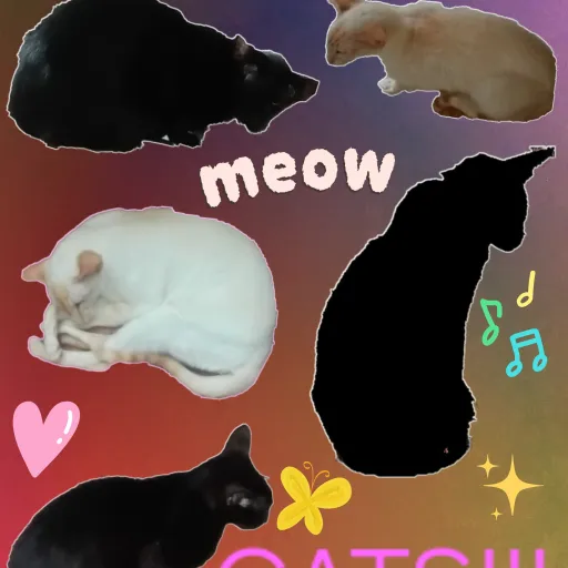 creator 😻~meow kittys~😻's avatar