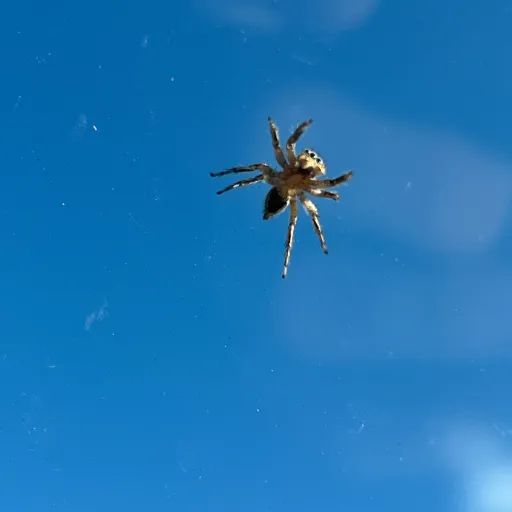 creator hazbin_hotel84's avatar