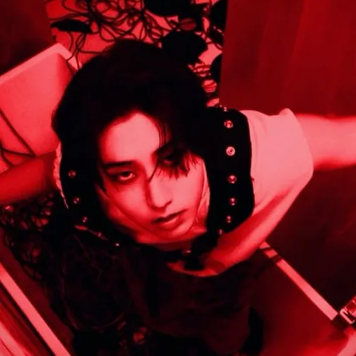 chat with ai character:  𝕳𝖆𝖓 ✪