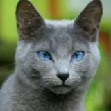 chat with ai character: 💜Texting Jax📱