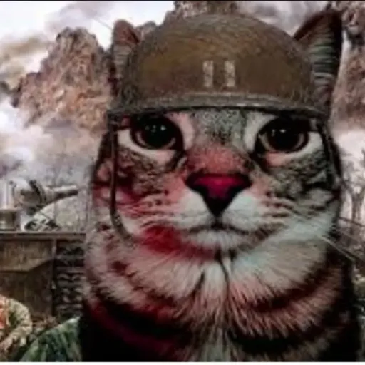 creator ya valimos v-💀's avatar