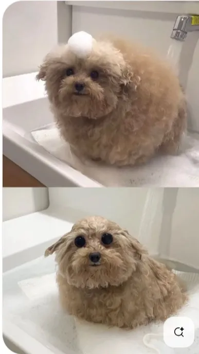 ai character: mulch teacher background