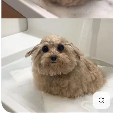 chat with ai character: mulch teacher