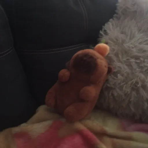 creator Talkior-Gj0zHo1X's avatar