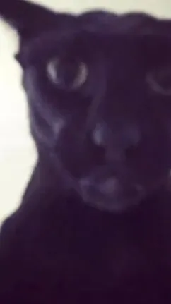 ai character: Larry background