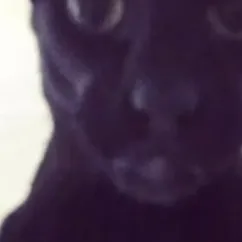 chat with ai character: Larry