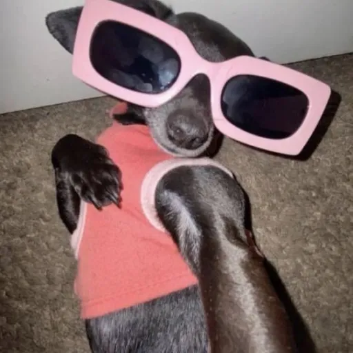 creator Lexy.💯's avatar