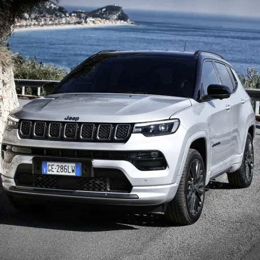 creator ❤️🚗Jeep Compass❤️🚗's avatar