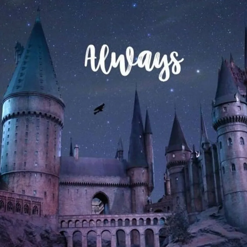 chat with ai character: draco