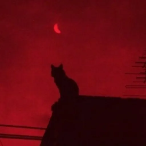 creator CherryRedMochi's avatar