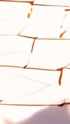 ai character: seavont background