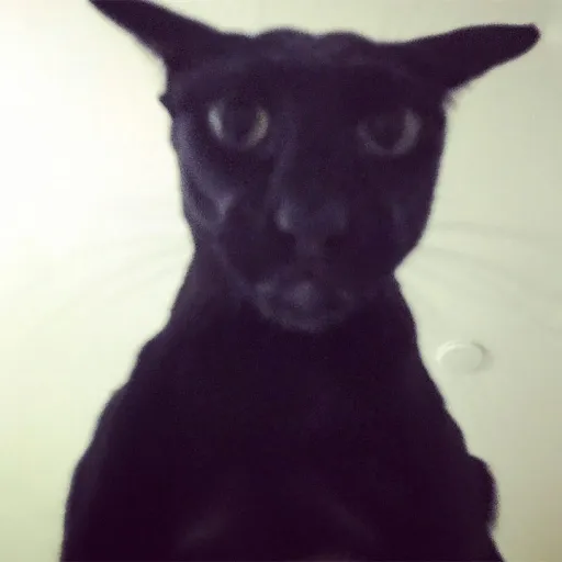 creator GooberDoingNothing's avatar